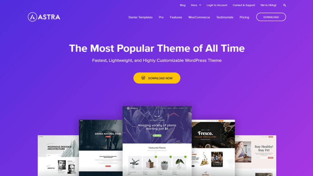 wordpress themes astra