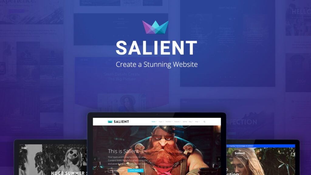 Salient WordPress Theme MYWAY