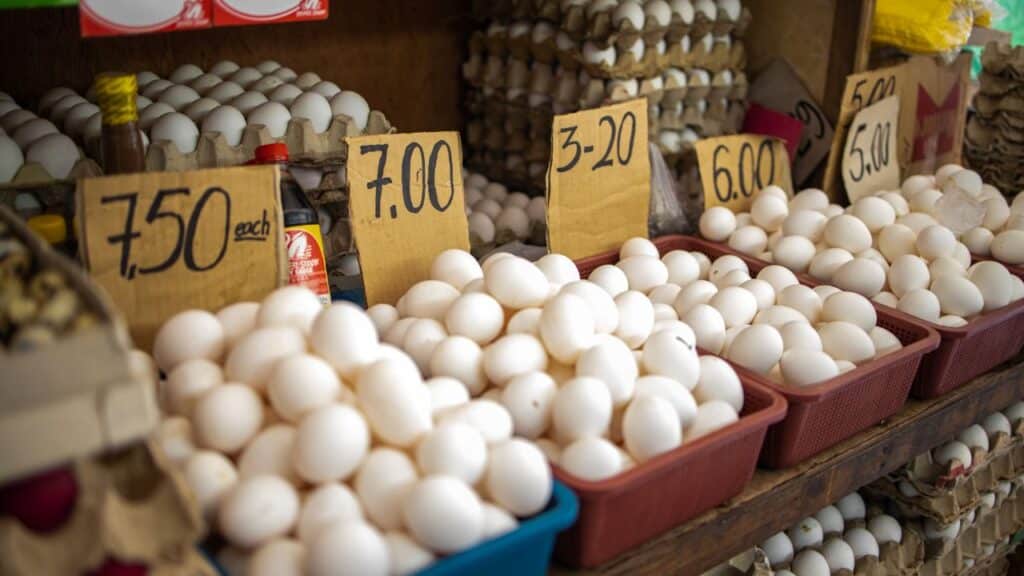 a group of white eggs in containers with price tags-Preisstrategie - Visuelle Gestaltung